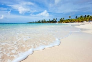 From Punta Cana: Saona Island Full-Day Tour