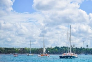 Z Punta Cana: całodniowa wycieczka na wyspę Saona z lunchem