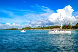 Z Punta Cana: całodniowa wycieczka na wyspę Saona z lunchem