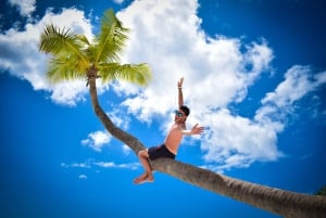 Z Punta Cana: całodniowa wycieczka na wyspę Saona z lunchem