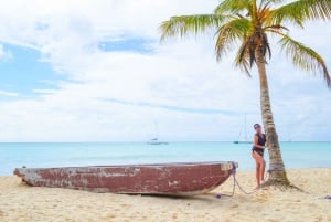 Z Punta Cana: całodniowa wycieczka na wyspę Saona z lunchem