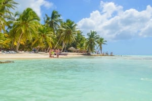 Z Punta Cana: całodniowa wycieczka na wyspę Saona z lunchem