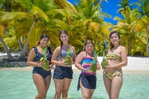 Z Punta Cana: całodniowa wycieczka na wyspę Saona z lunchem