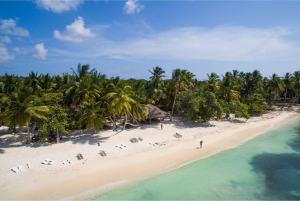 Depuis Punta Cana : Excursion d'une journée sur l'île de Saona en petit bateau privé