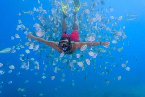 De Punta Cana: Viagem de 1 dia em um pequeno barco particular para a Ilha Saona