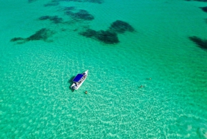 Depuis Punta Cana : Excursion d'une journée sur l'île de Saona en petit bateau privé