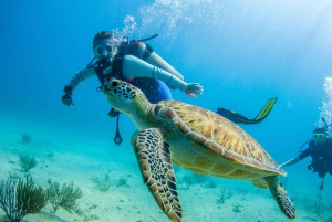 Depuis Punta Cana : Excursion d'une journée sur l'île de Saona en petit bateau privé