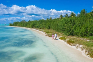 Depuis Punta Cana : Excursion d'une journée sur l'île de Saona en petit bateau privé