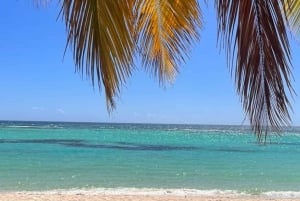 From Punta Cana: Saona Island Tour and Cruise with Lunch