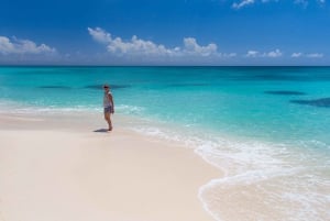 Punta Canasta: Katamaraanikierros Saona-saarelle, vapaa baari ja buffet