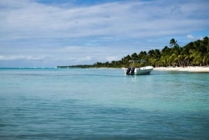 Punta Canasta: Katamaraanikierros Saona-saarelle, vapaa baari ja buffet