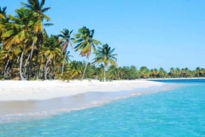 Au départ de Punta Cana : excursion sur l'île Saona avec déjeuner barbecue