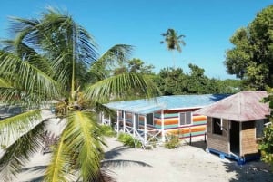 Au départ de Punta Cana : excursion sur l'île Saona avec déjeuner barbecue
