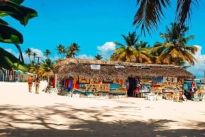 Au départ de Punta Cana : excursion sur l'île Saona avec déjeuner barbecue