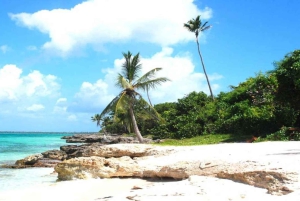 Au départ de Punta Cana : excursion sur l'île Saona avec déjeuner barbecue