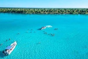 Au départ de Punta Cana : excursion sur l'île Saona avec déjeuner barbecue