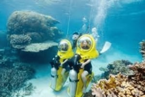 De Punta Cana: Mergulha, faz snorkel e passeio de barco com fundo de vidro