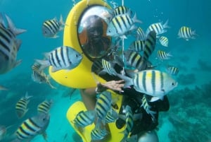 From Punta Cana: ScubaDoo, Snorkel & Glass Bottom Boat Tour