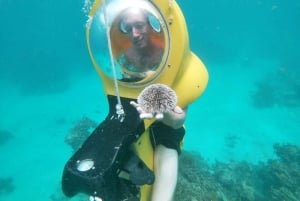 Punta Canasta: Cana Cana: ScubaDoo, Snorkel & Glass Bottom Boat Retki