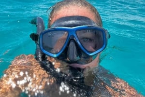 Desde Punta Cana: Tour en grupo reducido de snorkel en la Isla Catalina