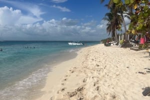 Desde Punta Cana: Tour en grupo reducido de snorkel en la Isla Catalina