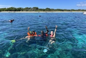 From Punta Cana: Small Group Catalina Island Snorkeling Tour