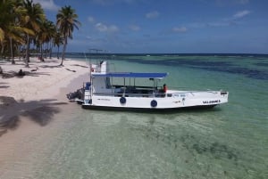 From Punta Cana: Small Group Catalina Island Snorkeling Tour