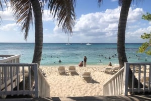 From Punta Cana: Small Group Catalina Island Snorkeling Tour