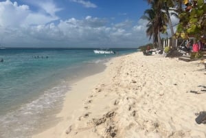 From Punta Cana: Small Group Catalina Island Snorkeling Tour