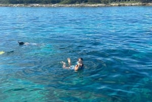 From Punta Cana: Small Group Catalina Island Snorkeling Tour