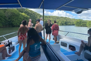 From Punta Cana: Small Group Catalina Island Snorkeling Tour