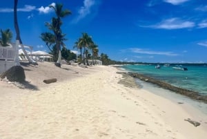 From Punta Cana: Small Group Catalina Island Snorkeling Tour