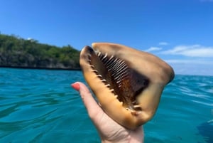 From Punta Cana: Small Group Catalina Island Snorkeling Tour