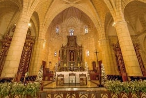 Da Punta Cana a Santo Domingo: Storia del tour della città