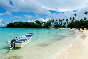 From Punta Cana: Whale Watching and Beaches Day Trip