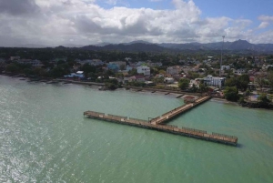 From Punta Cana: Whale Watching and Montana Redonda Tour