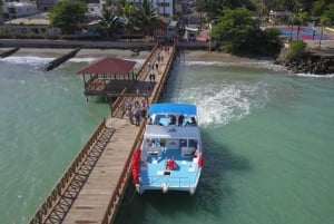 From Punta Cana: Whale Watching and Montana Redonda Tour