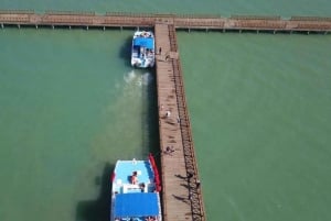 From Punta Cana: Whale Watching and Montana Redonda Tour