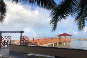 From Punta Cana: Whale Watching and Montana Redonda Tour