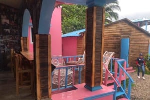 From Punta Cana: Whale Watching and Montana Redonda Tour