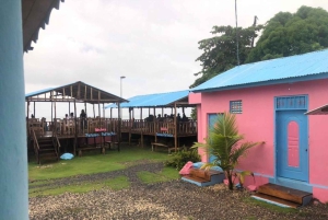 From Punta Cana: Whale Watching and Montana Redonda Tour