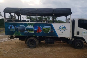 From Punta Cana: Whale Watching and Montana Redonda Tour