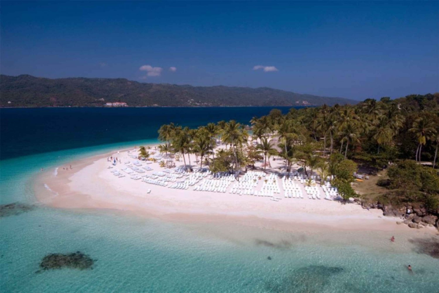 Depuis Punta Canta : Croisière observation des baleines avec Cayo Levantado