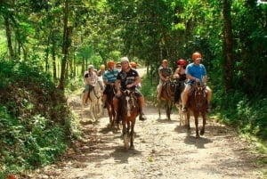 Vanuit Puntacana:Samana tour+Salto el limon en Bacardi eiland