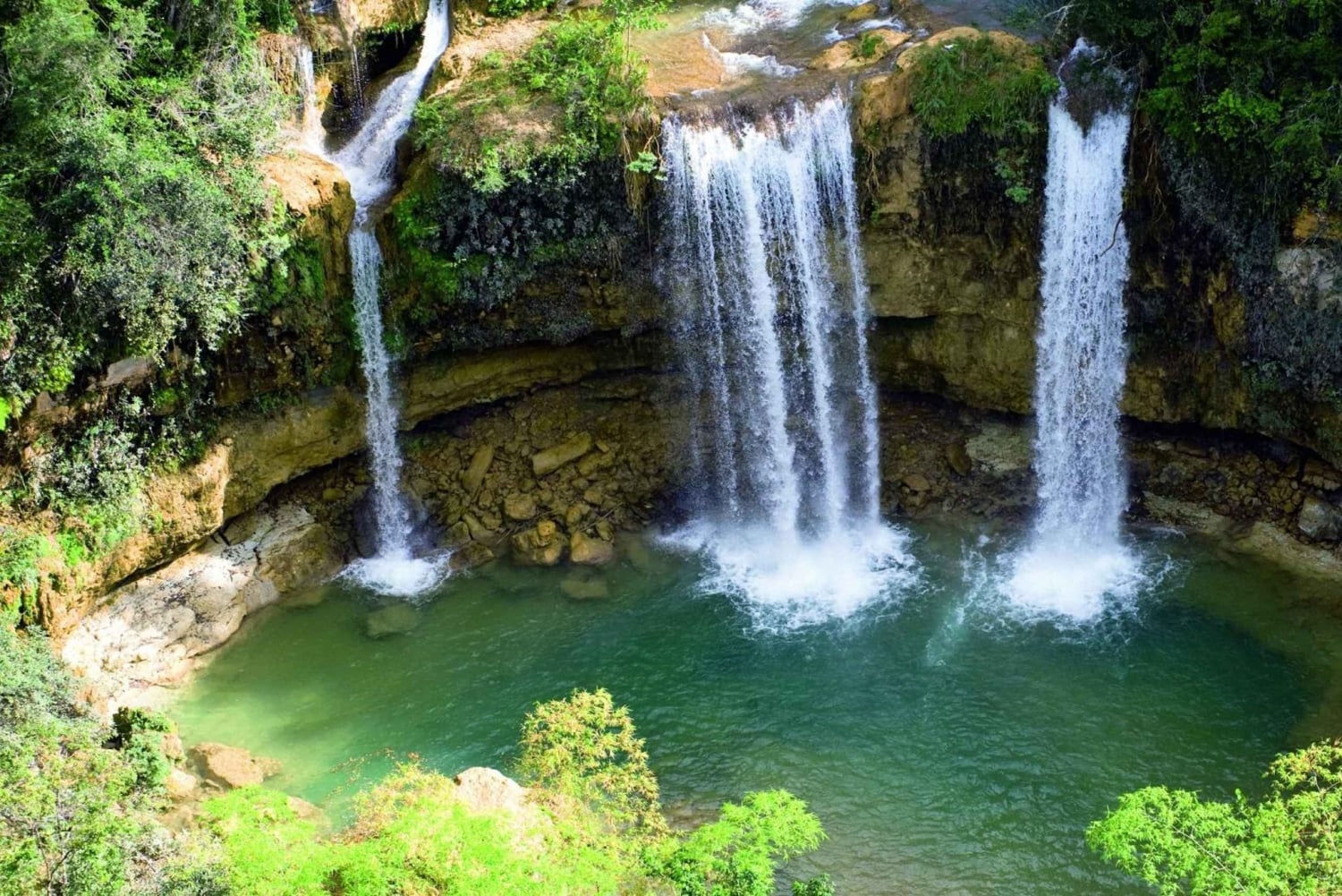 Desde Samaná: Paseo a caballo a la cascada El Limón con almuerzo