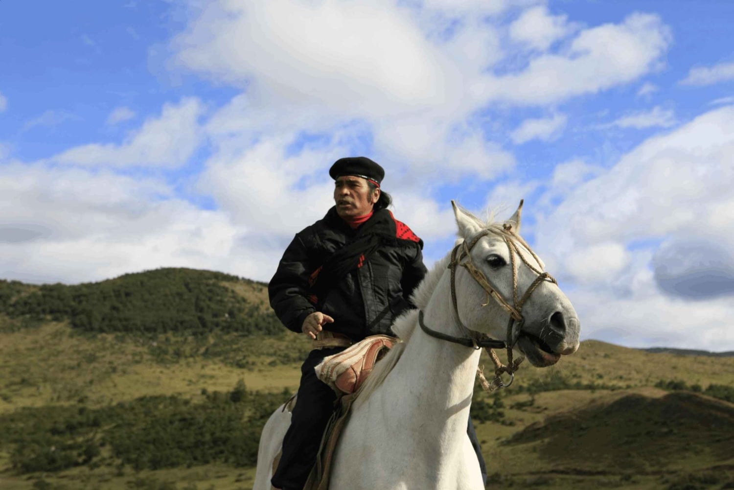 Desde Samaná: Paseo a caballo a la cascada El Limón con almuerzo