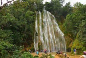 Da Samaná: escursione a cavallo alla cascata El Limón con pranzo