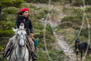 Da Samaná: escursione a cavallo alla cascata El Limón con pranzo