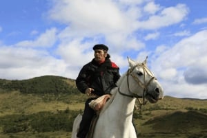Da Samaná: escursione a cavallo alla cascata El Limón con pranzo