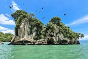 Desde Samaná: Los Haitises Excursión en Barco y a Pie con Almuerzo